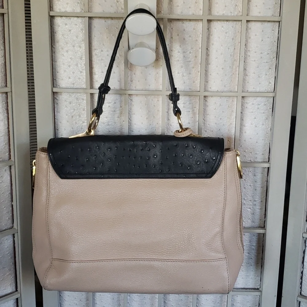 Badgley Mischka nude and black crossbody and handbag